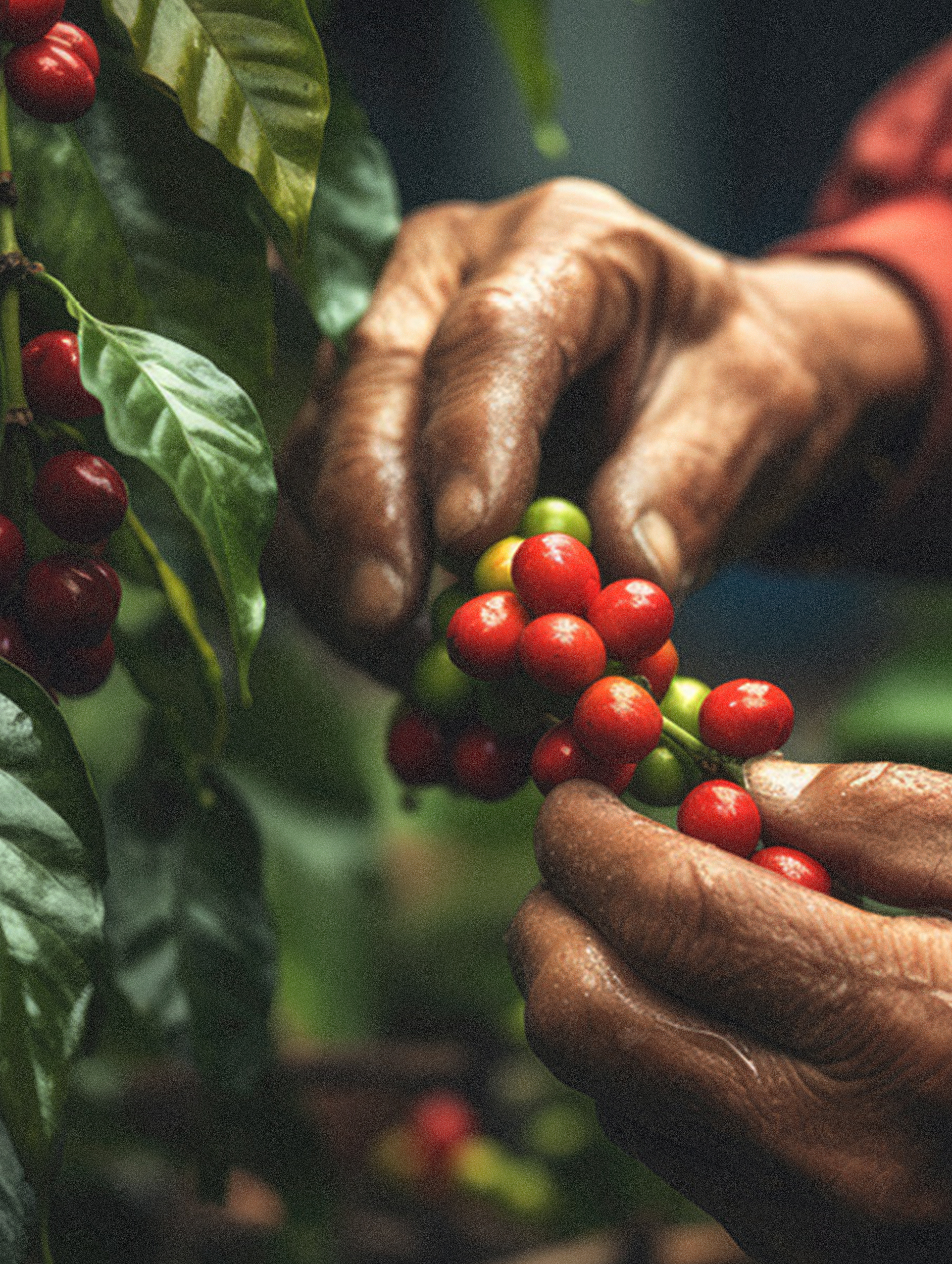 Prosperity Prosperity